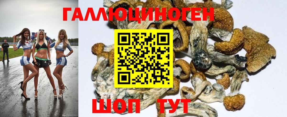 Псилоцибиновые грибы мицелий Псков